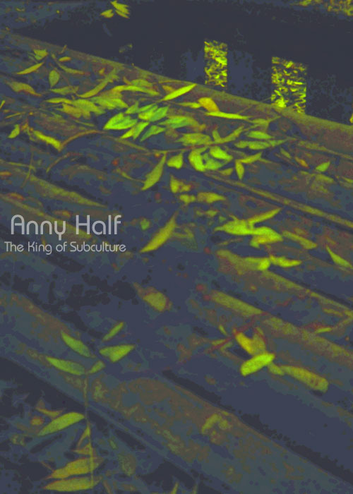 Bamboo roof