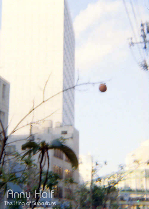 A persimmon