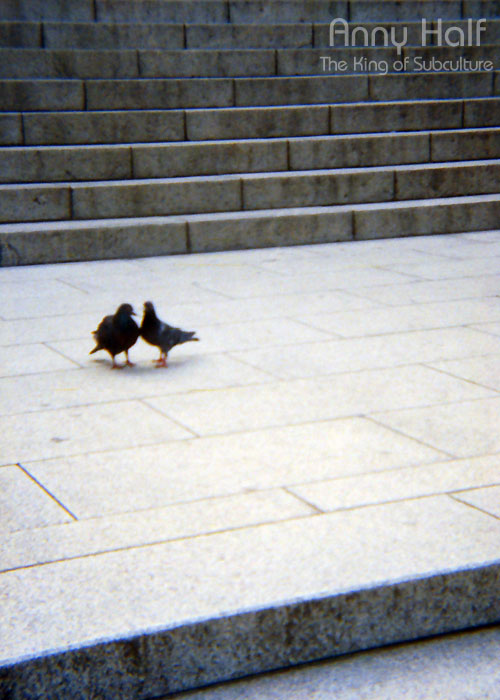 First quarrel